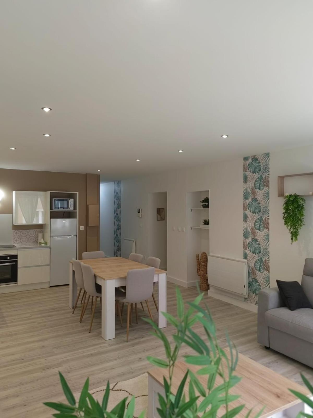 Bel Appartement Bord Du Rhone Valence  Kültér fotó