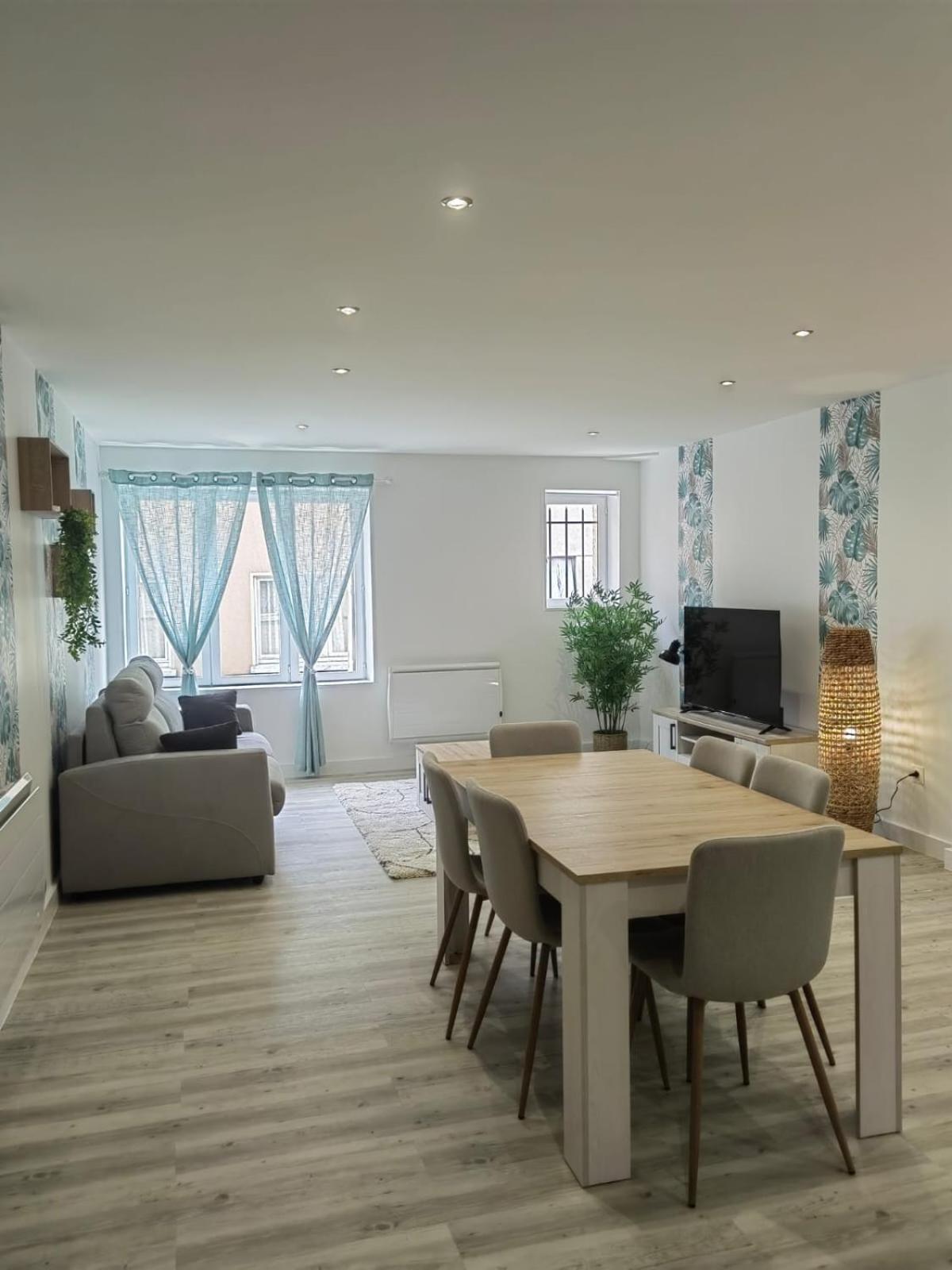 Bel Appartement Bord Du Rhone Valence  Kültér fotó